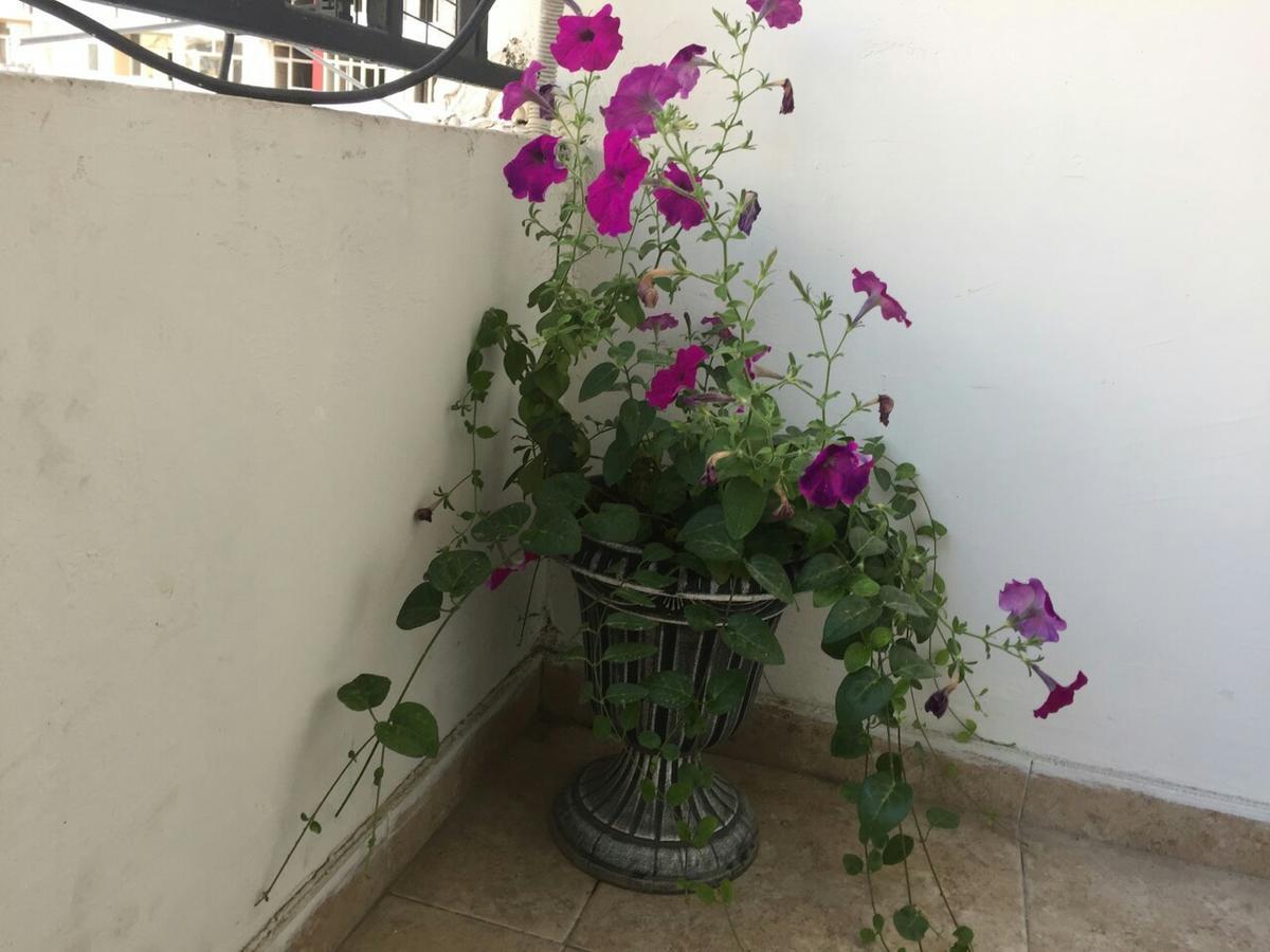 Paradise Apartment Батуми Екстериор снимка